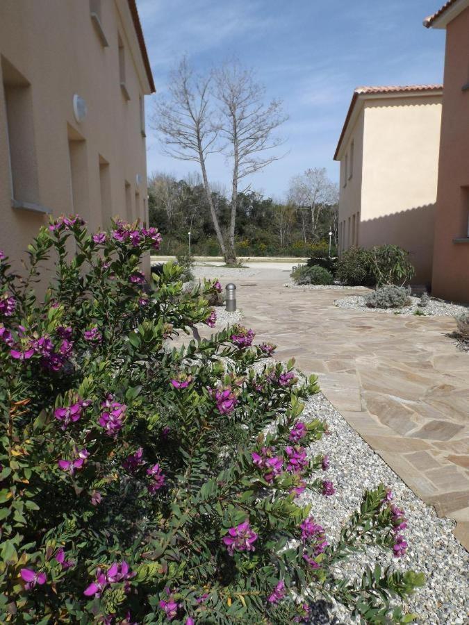 Appartement T2 Dans Residence Avec Piscine Moriani Plage Exteriör bild